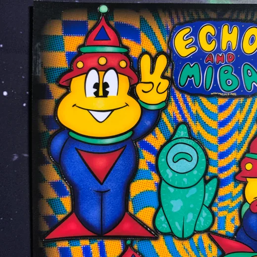 Echo & Miba image 4